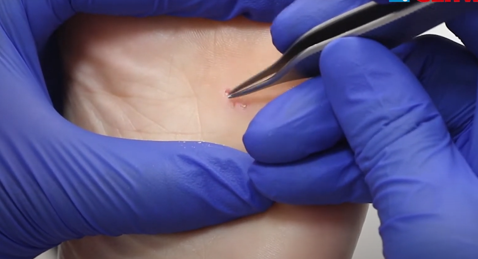 Zrzut ekranu 2025-11-06 141018